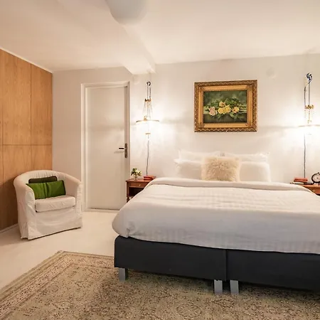 Luxury Large Morningstar Amsterdam